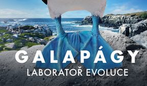 Galapágy - laboratoř evoluce (2/2)