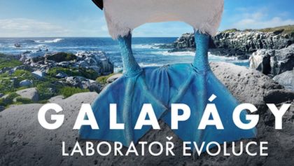Galapágy - laboratoř evoluce (2/2)