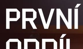 První oddíl