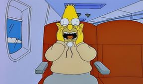 Simpsonovi XIV (17/22)