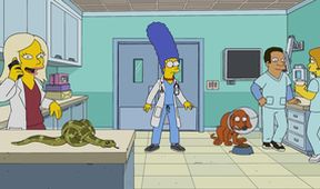 Simpsonovi XIV (1/22)
