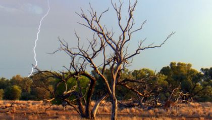 Nespoutaná obloha (2)