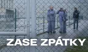 Zase zpátky