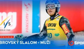 FIS Svetový pohár obrovský slalom muži V