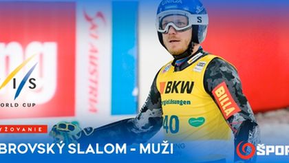 FIS Svetový pohár obrovský slalom muži V