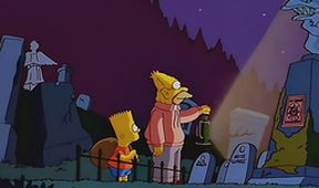 Simpsonovi VII (15/25)