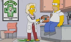 Simpsonovi XXII (2/22)