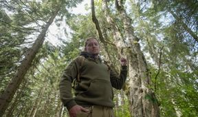 Zpátky do přírody