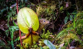 Asie, Zázračná planeta (3/7)