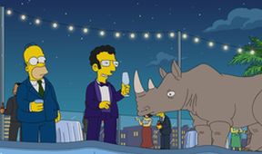 Simpsonovi XXII (17/22)