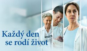 Každý den se rodí život
