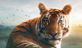 Asie, Zázračná planeta (1/7)