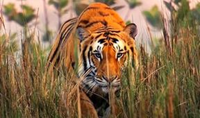 Asie, Zázračná planeta (1/7)