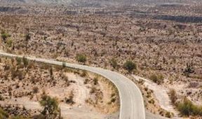 Není cesty zpátky (2)