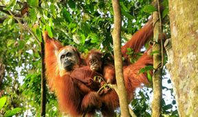 Cesty kolem světa (7/12)