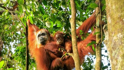 Cesty kolem světa (7/12)