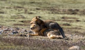 Asie, Zázračná planeta (2/7)