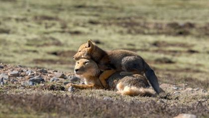 Asie, Zázračná planeta (2/7)