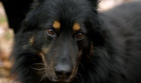 Co naše babičky uměly a na co my jsme zapomněli