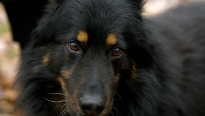 Co naše babičky uměly a na co my jsme zapomněli