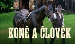 Koně a člověk
