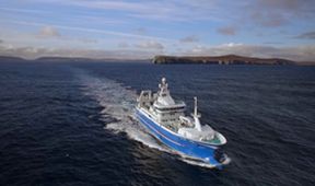 Honba za úlovkem (3)