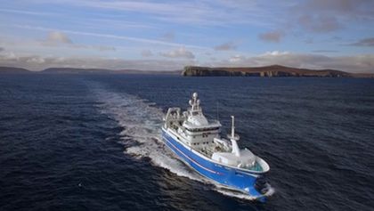 Honba za úlovkem (3)