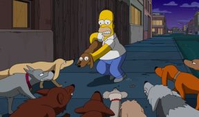 Simpsonovi XX (18/21)