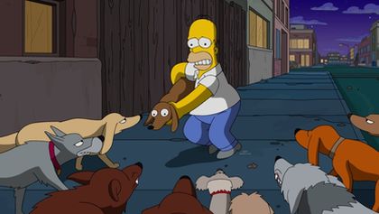 Simpsonovi XX (18/21)