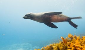 Cesty kolem světa (5/12)