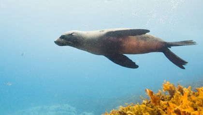 Cesty kolem světa (5/12)