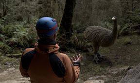 Tajemství ptačích obrů