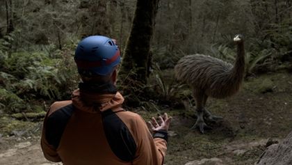 Tajemství ptačích obrů