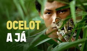 Ocelot a já