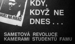 Sametová FAMU, Den boje za svobodu a demokracii