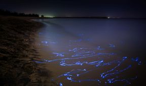 Asie, Zázračná planeta (1/7)