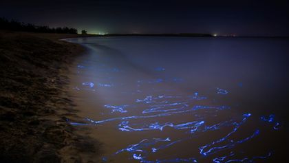 Asie, Zázračná planeta (1/7)