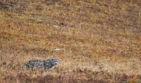 Savci, Zázračná planeta (6/6)