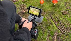 Zpátky do přírody