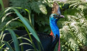 Cesty kolem světa (8/12)