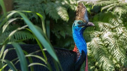 Cesty kolem světa (8/12)