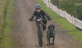 MS v individuálním mushingu 2025, MS Česko