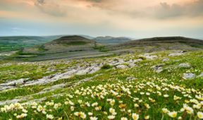 Irsko: Zelený ostrov, šedá pustina