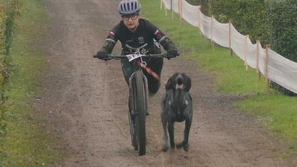 MS v individuálním mushingu 2025, MS Česko