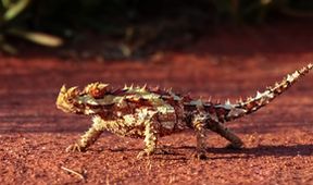 Cesty kolem světa (8/12)