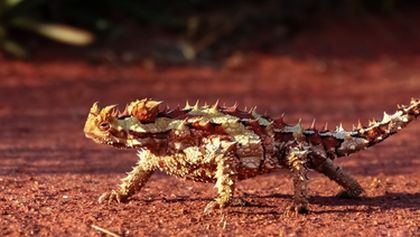 Cesty kolem světa (8/12)