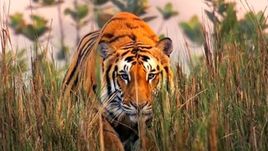 Asie, Zázračná planeta (2/7)