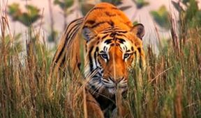 Asie, Zázračná planeta (1/7)