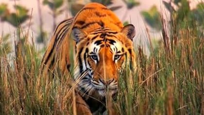 Asie, Zázračná planeta (1/7)