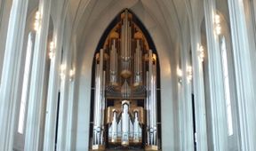 Na cestě po Reykjavíku